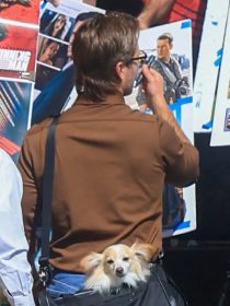 Glen Powell Jimmy Kimmel Live Brown Shirt