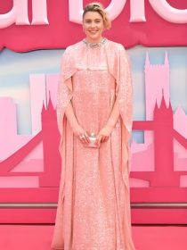 The Social 2026 Greta Gerwig Pink Cape Gown