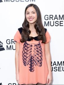 Olivia Rodrigo Exhibit And Program Dress
