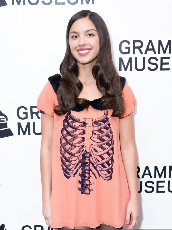 Olivia Rodrigo Exhibit And Program Dress Olivia Rodrigo Exhibit And Program Dress